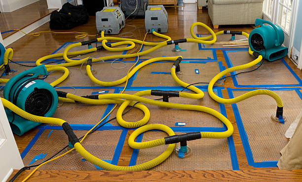 Professional Crawl Space Water Removal technician working in Verona, WI